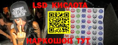 шишки Боровичи