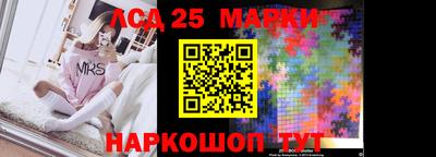 шишки Боровичи
