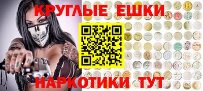 шишки Боровичи