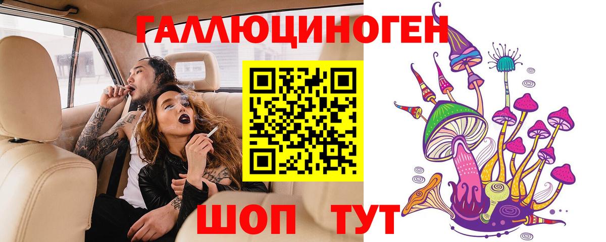 Галлюциногенные грибы Magic Shrooms  Вход с VPN  Галлюциногенные грибы Cubensis  Чернушка 