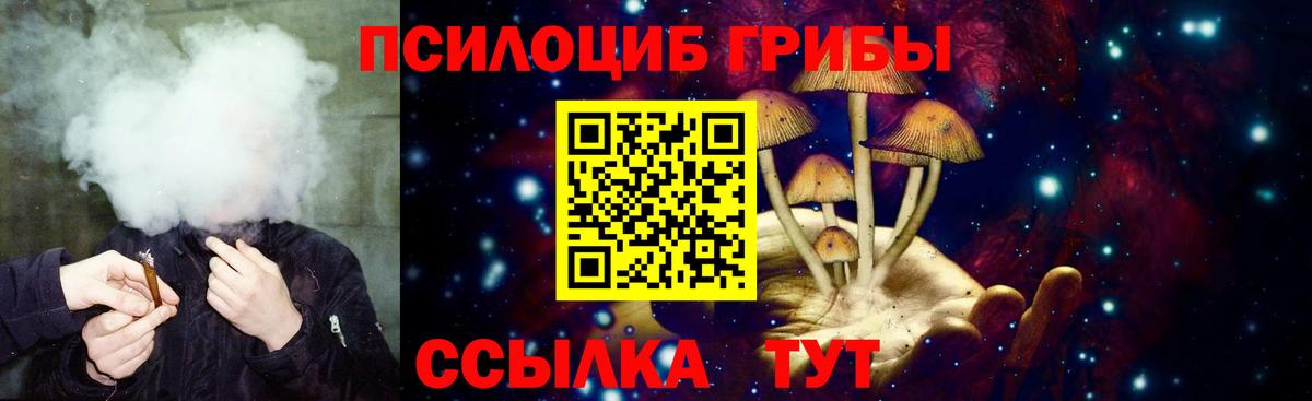 Псилоцибиновые грибы Cubensis Чернушка